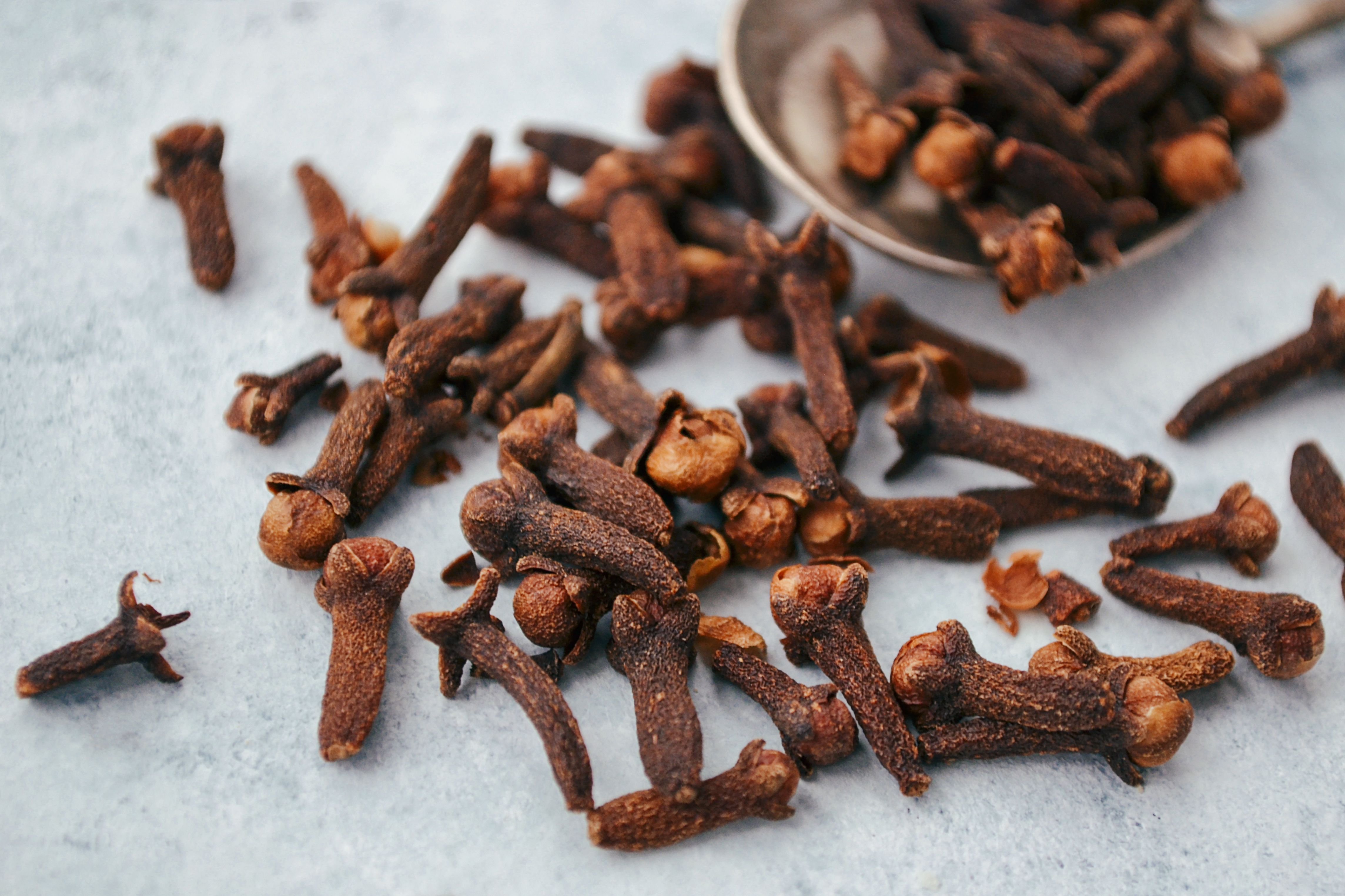 Boîtes de vanille Vanilla & Spices