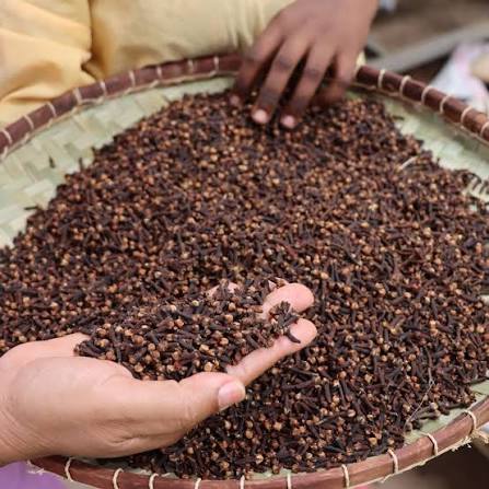 Clous de girofle séchés dans un plateau tressé